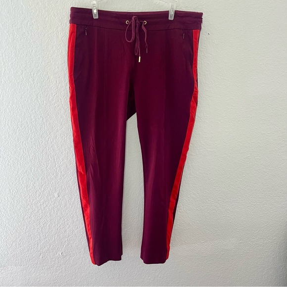 Anthropologie The Essential Slim Wine Red Striped Trouser Pants Size 10 - Picture 5 of 16